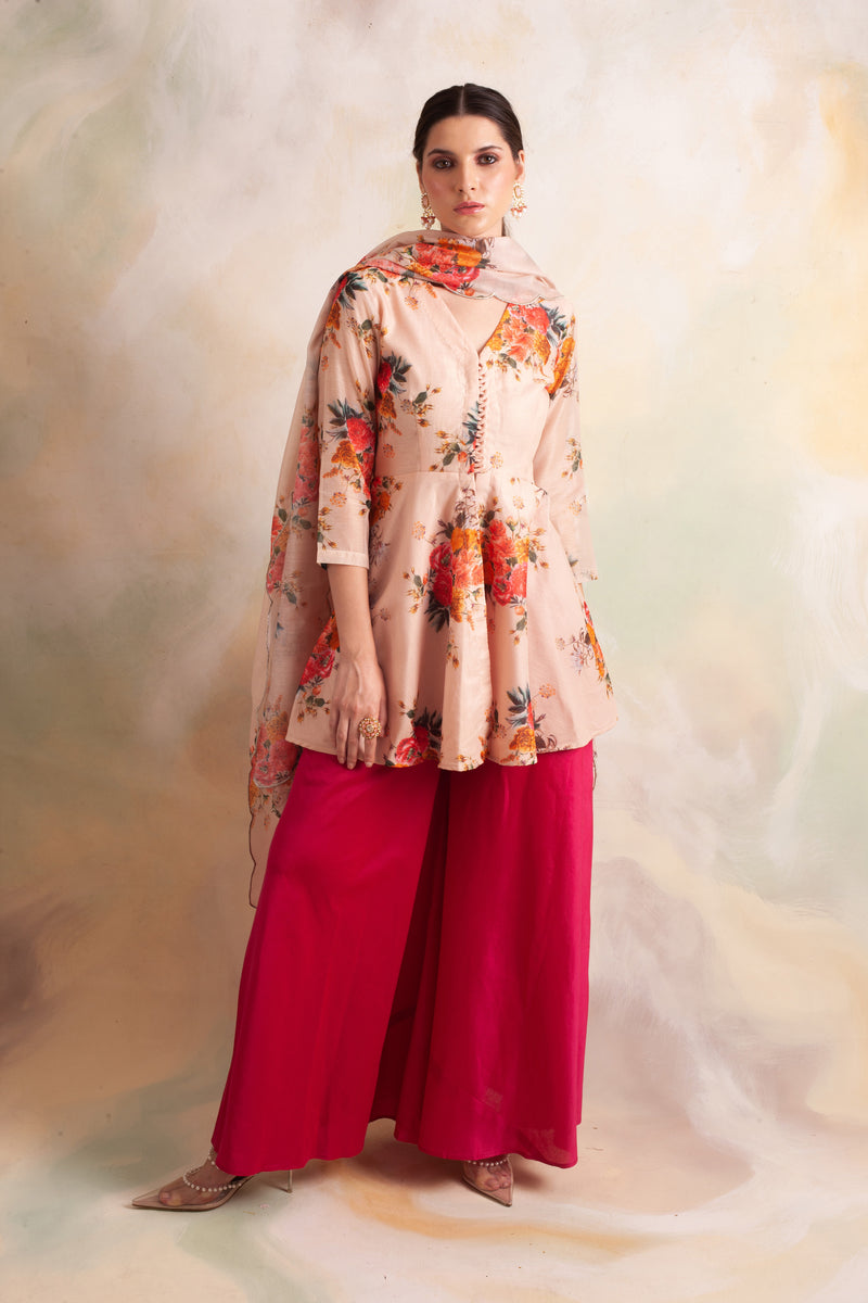 Buy ELECTROPRIME Woman Zip Closure Upper Long Sleeves Slim Fit Peplum Dress  Multicolour at Amazon.in